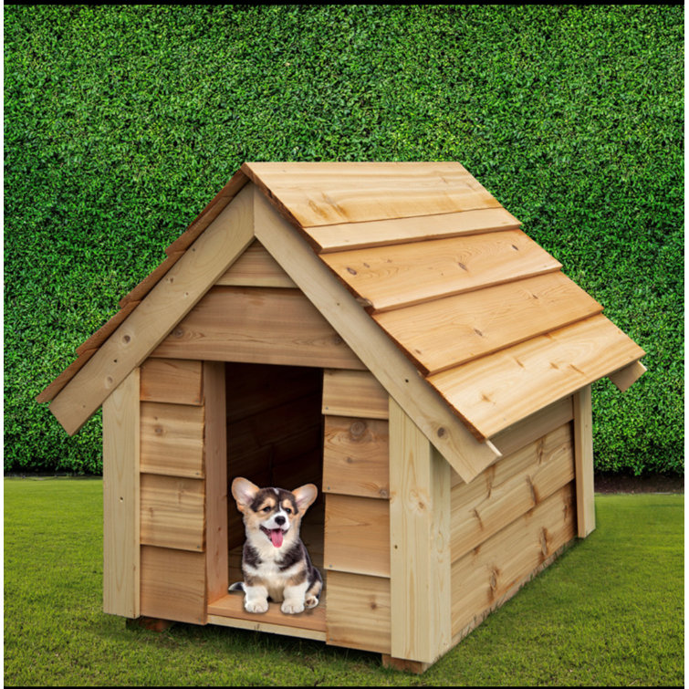 Wooden store dog houses